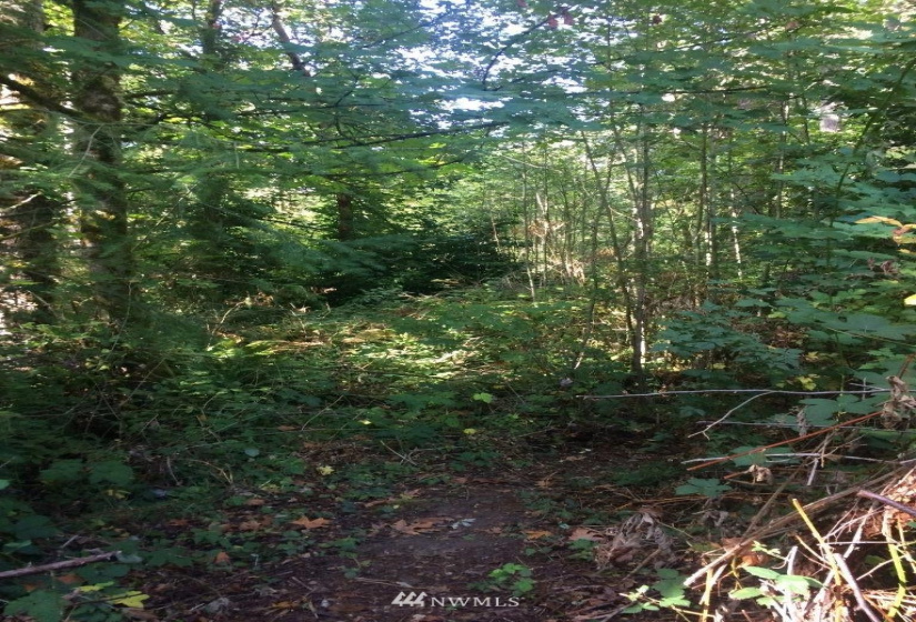 0 Lots A, B & C Rose, Bainbridge Island, Washington 98110, ,Land,For Sale,Lots A, B & C Rose,NWM1870212