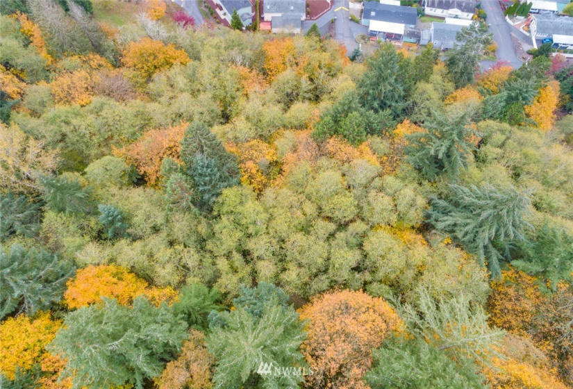 0 Meeker, Kalama, Washington 98625, ,Land,For Sale,Meeker,NWM1875555