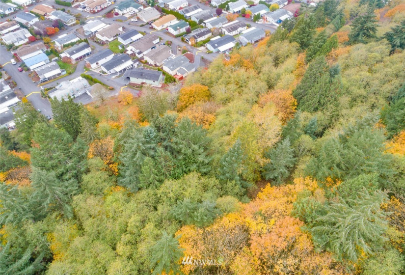 0 Meeker, Kalama, Washington 98625, ,Land,For Sale,Meeker,NWM1875555