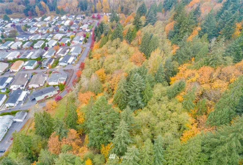 0 Meeker, Kalama, Washington 98625, ,Land,For Sale,Meeker,NWM1875555