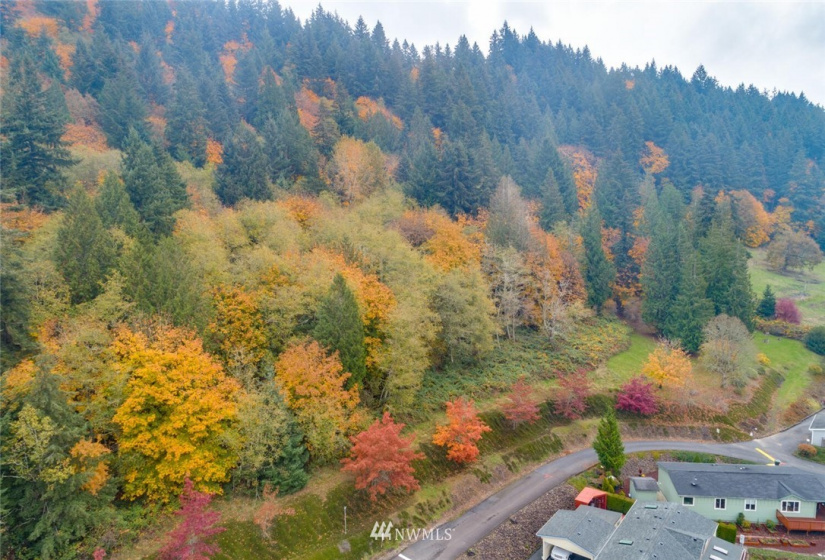 0 Meeker, Kalama, Washington 98625, ,Land,For Sale,Meeker,NWM1875555