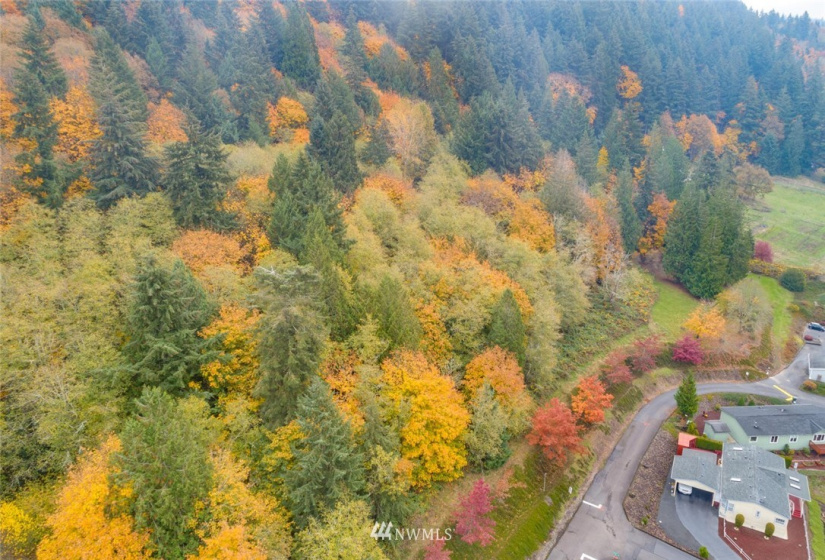 0 Meeker, Kalama, Washington 98625, ,Land,For Sale,Meeker,NWM1875555