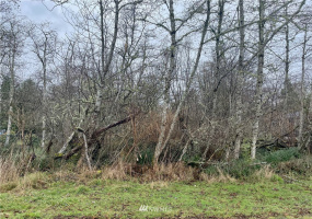 563 Duck Lake, Ocean Shores, Washington 98569, ,Land,For Sale,Duck Lake,NWM1872408