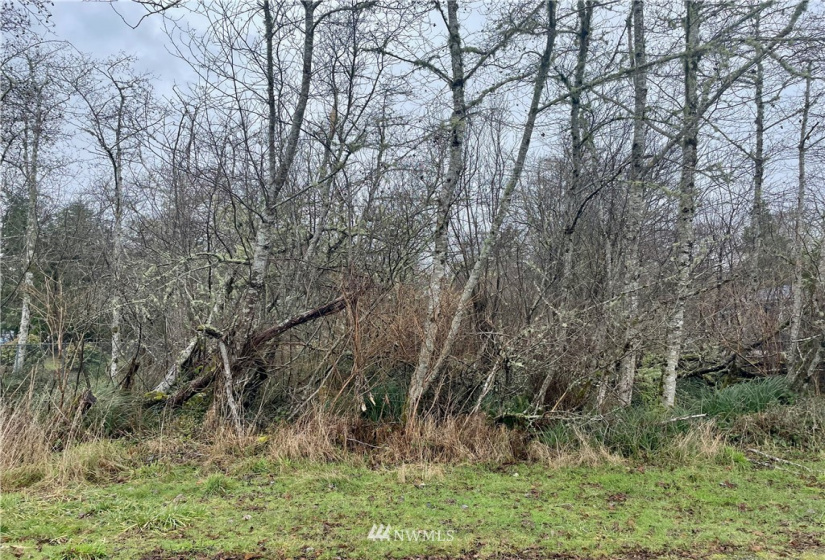 563 Duck Lake, Ocean Shores, Washington 98569, ,Land,For Sale,Duck Lake,NWM1872408