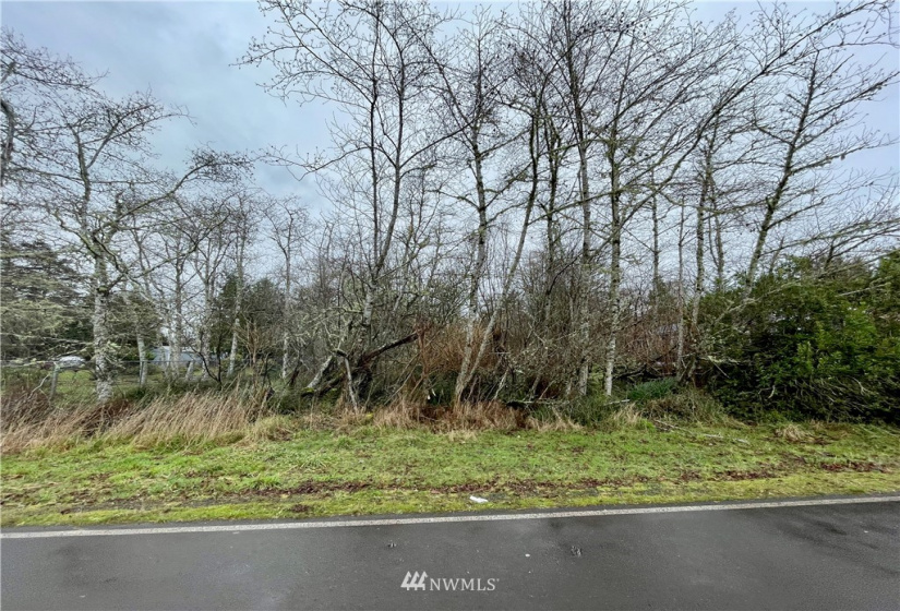 563 Duck Lake, Ocean Shores, Washington 98569, ,Land,For Sale,Duck Lake,NWM1872408