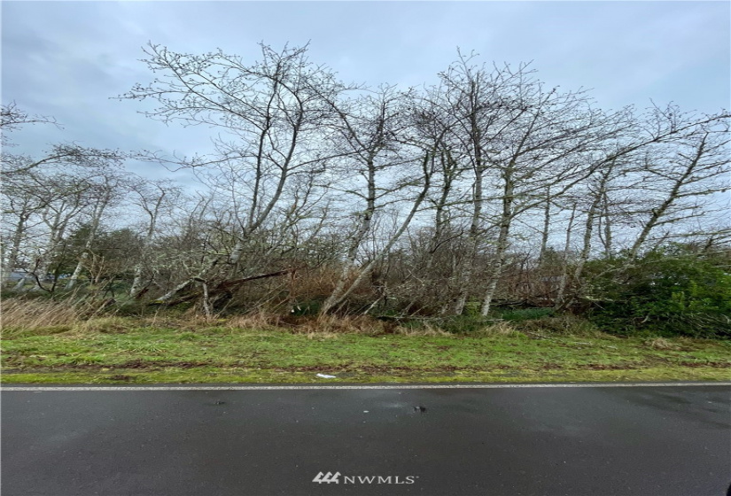 563 Duck Lake, Ocean Shores, Washington 98569, ,Land,For Sale,Duck Lake,NWM1872408