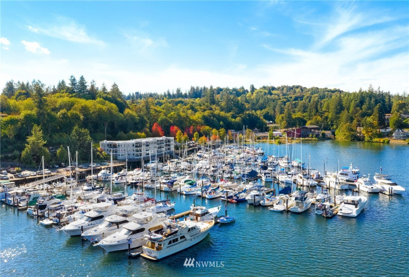 8008 26th, Gig Harbor, Washington 98332, ,Land,For Sale,26th,NWM1869202