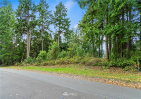 8008 26th, Gig Harbor, Washington 98332, ,Land,For Sale,26th,NWM1869202