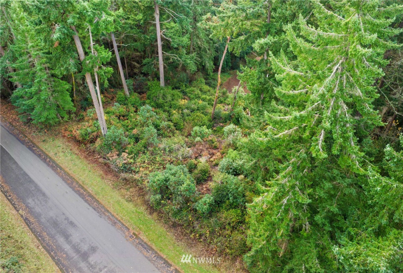 8008 26th, Gig Harbor, Washington 98332, ,Land,For Sale,26th,NWM1869202