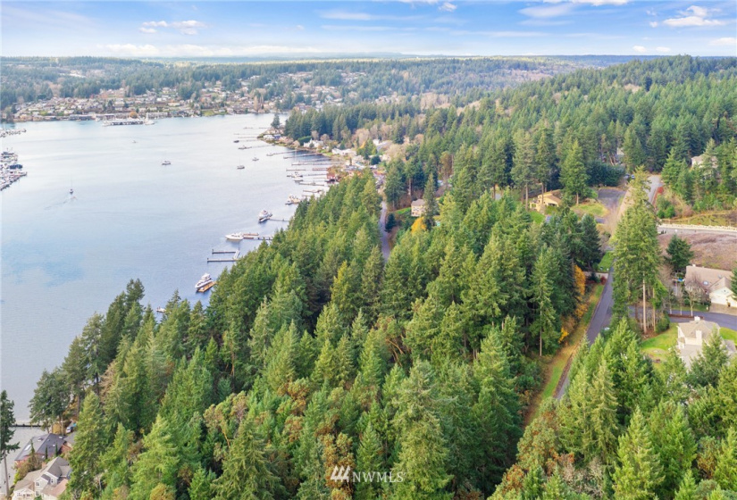 8008 26th, Gig Harbor, Washington 98332, ,Land,For Sale,26th,NWM1869202