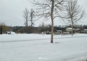 0 Pioneer, South Prairie, Washington 98385, ,Land,For Sale,Pioneer,NWM1875887