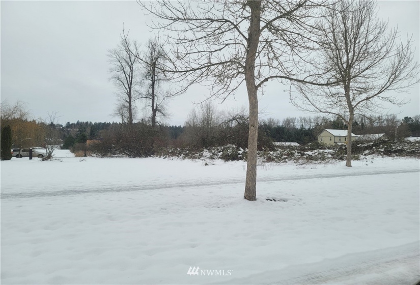 0 Pioneer, South Prairie, Washington 98385, ,Land,For Sale,Pioneer,NWM1875887