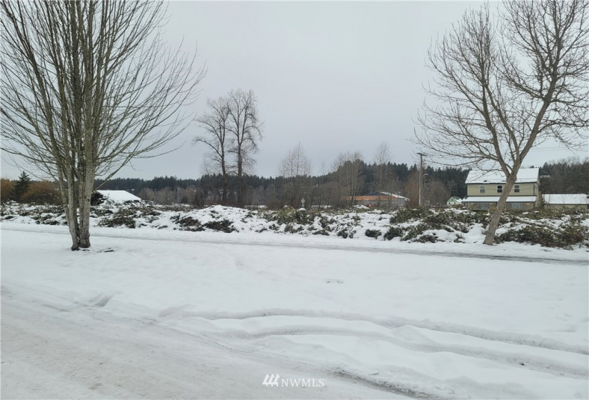 0 Pioneer, South Prairie, Washington 98385, ,Land,For Sale,Pioneer,NWM1875887