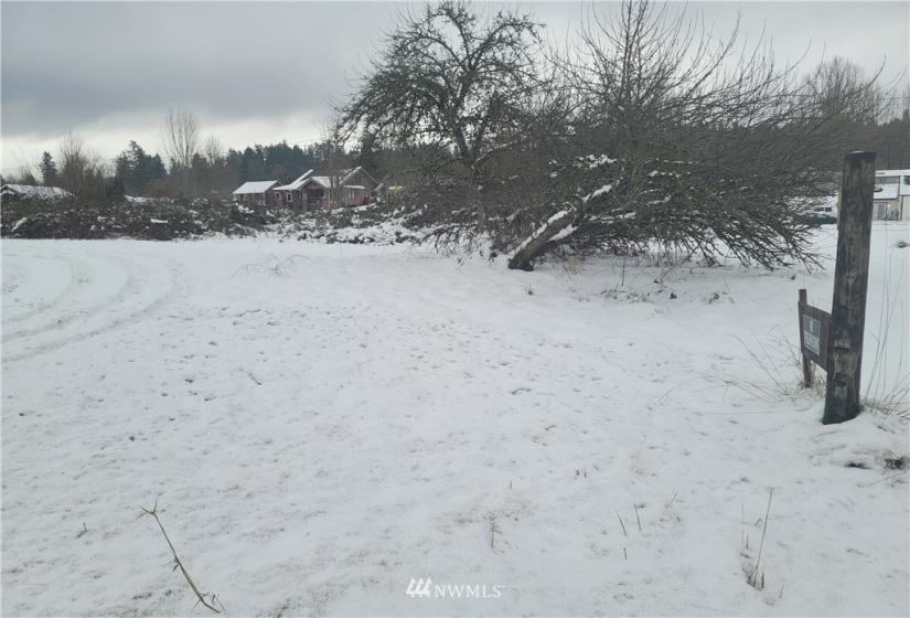 0 Pioneer, South Prairie, Washington 98385, ,Land,For Sale,Pioneer,NWM1875887