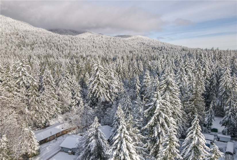 140 Duckabush, Hoodsport, Washington 98548, ,Land,For Sale,18,Duckabush,NWM1875467
