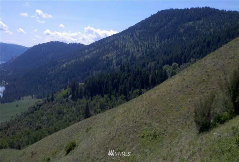 2558 Gilmore, Kettle Falls, Washington 99141, ,Land,For Sale,Gilmore,NWM1875812