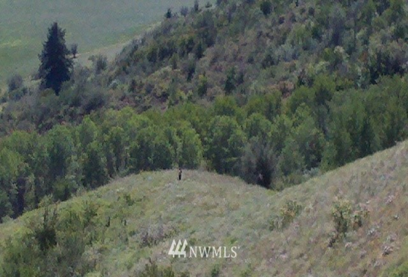2558 Gilmore, Kettle Falls, Washington 99141, ,Land,For Sale,Gilmore,NWM1875812