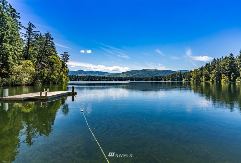 21649 Clear Lake, Yelm, Washington 98597, ,Land,For Sale,DIV 4,Clear Lake,NWM1875866