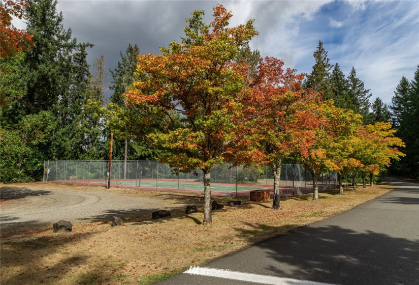 21649 Clear Lake, Yelm, Washington 98597, ,Land,For Sale,DIV 4,Clear Lake,NWM1875866