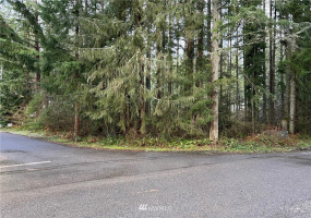21649 Clear Lake, Yelm, Washington 98597, ,Land,For Sale,DIV 4,Clear Lake,NWM1875866