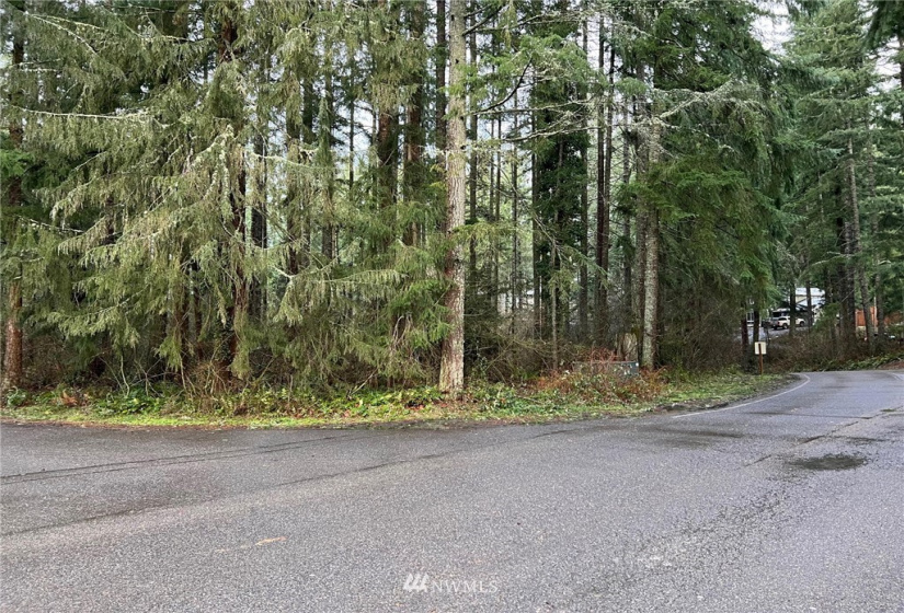 21649 Clear Lake, Yelm, Washington 98597, ,Land,For Sale,DIV 4,Clear Lake,NWM1875866