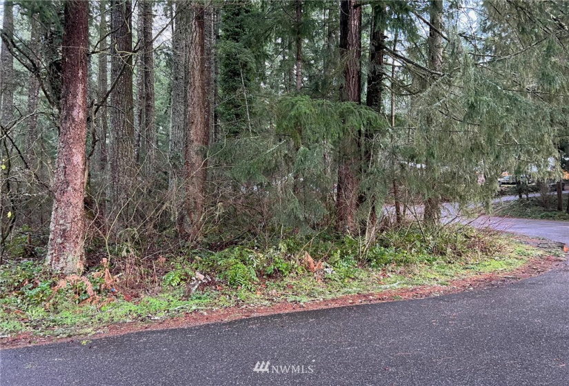 21649 Clear Lake, Yelm, Washington 98597, ,Land,For Sale,DIV 4,Clear Lake,NWM1875866