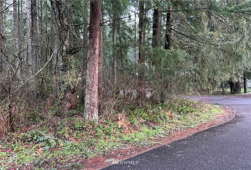 21649 Clear Lake, Yelm, Washington 98597, ,Land,For Sale,DIV 4,Clear Lake,NWM1875866