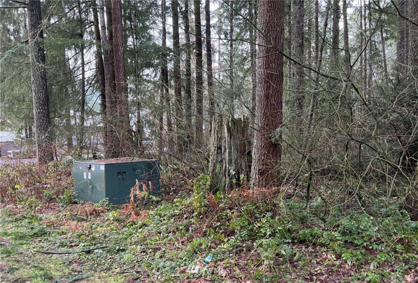 21649 Clear Lake, Yelm, Washington 98597, ,Land,For Sale,DIV 4,Clear Lake,NWM1875866
