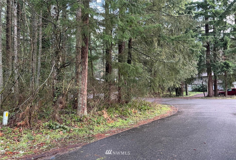 21649 Clear Lake, Yelm, Washington 98597, ,Land,For Sale,DIV 4,Clear Lake,NWM1875866