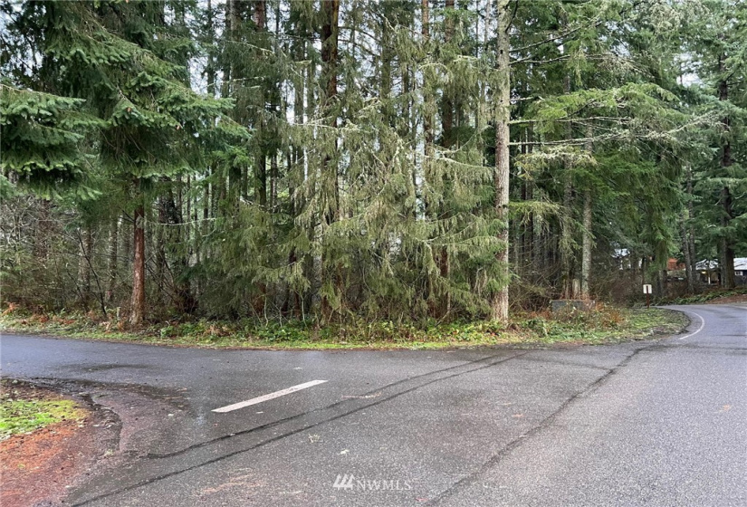 21649 Clear Lake, Yelm, Washington 98597, ,Land,For Sale,DIV 4,Clear Lake,NWM1875866