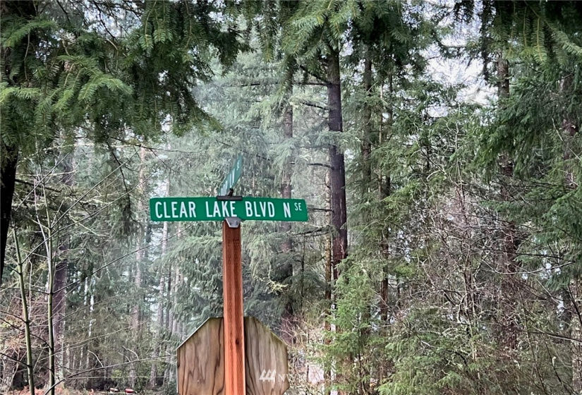 21649 Clear Lake, Yelm, Washington 98597, ,Land,For Sale,DIV 4,Clear Lake,NWM1875866