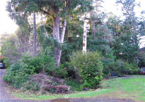 1101 309th, Ocean Park, Washington 98640, ,Land,For Sale,Surfside Estates,309th,NWM1875348