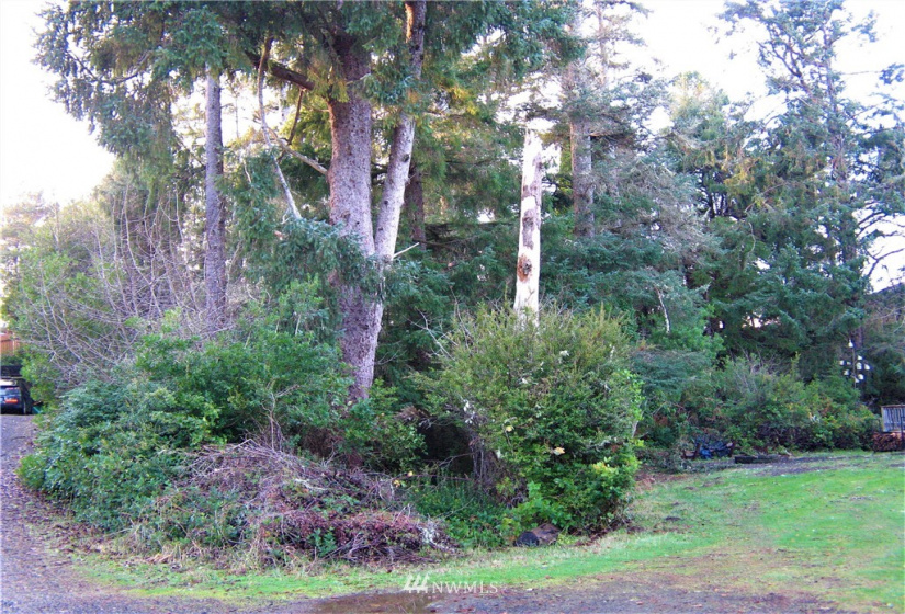 1101 309th, Ocean Park, Washington 98640, ,Land,For Sale,Surfside Estates,309th,NWM1875348