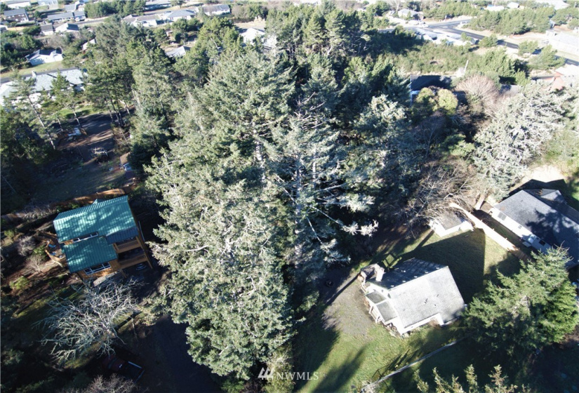 1101 309th, Ocean Park, Washington 98640, ,Land,For Sale,Surfside Estates,309th,NWM1875348