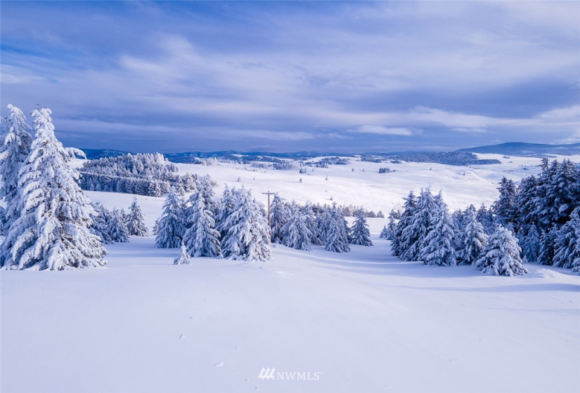 33 Bunn, Oroville, Washington 98844, ,Land,For Sale,Bunn,NWM1876088