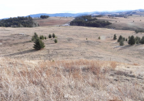 33 Bunn, Oroville, Washington 98844, ,Land,For Sale,Bunn,NWM1876088