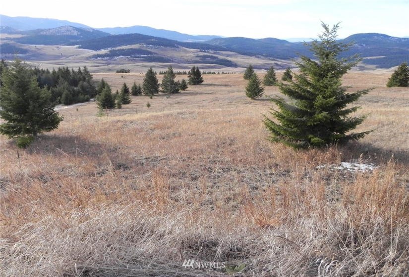 33 Bunn, Oroville, Washington 98844, ,Land,For Sale,Bunn,NWM1876088