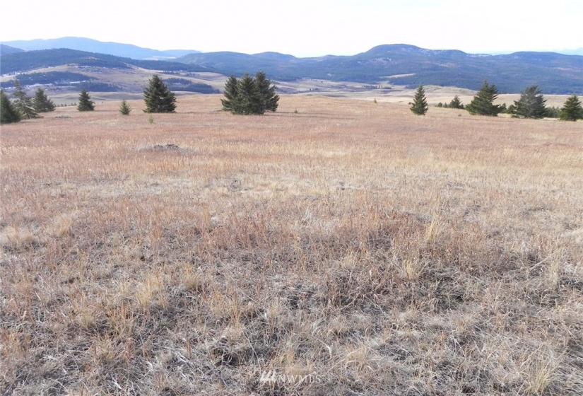 33 Bunn, Oroville, Washington 98844, ,Land,For Sale,Bunn,NWM1876088