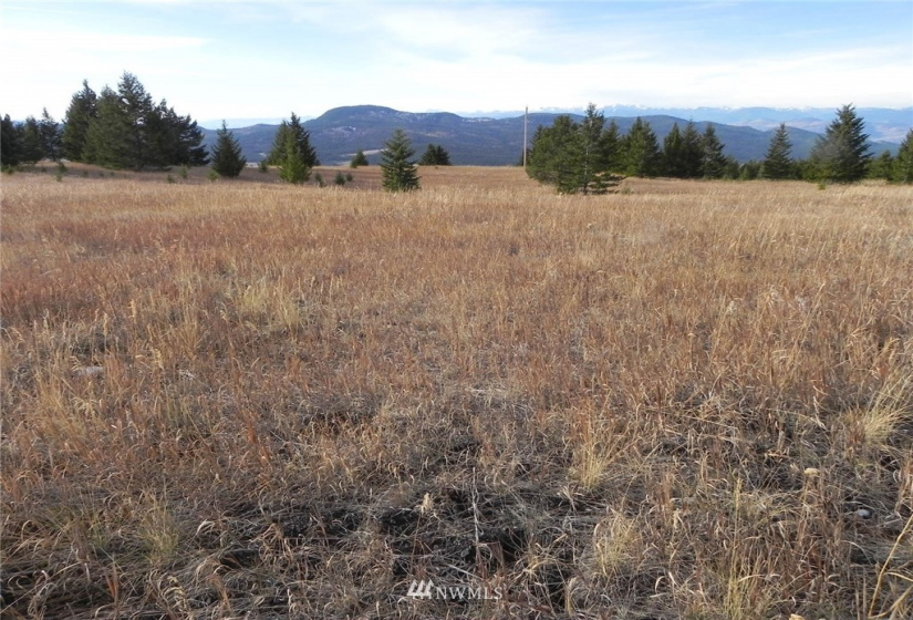 33 Bunn, Oroville, Washington 98844, ,Land,For Sale,Bunn,NWM1876088