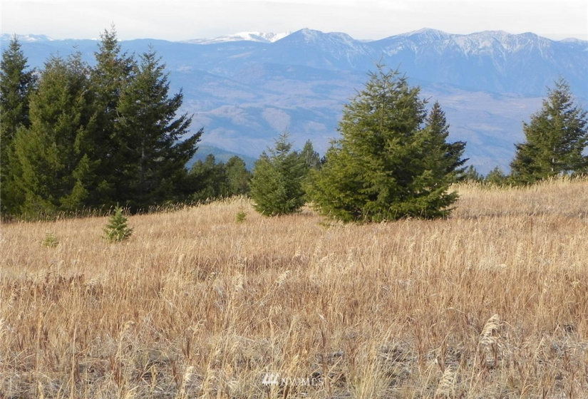 33 Bunn, Oroville, Washington 98844, ,Land,For Sale,Bunn,NWM1876088