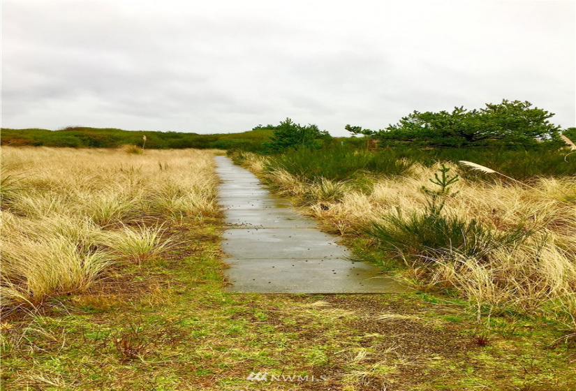 1268 Ocean Shores, Ocean Shores, Washington 98569, ,Land,For Sale,Div 18,Ocean Shores,NWM1875917