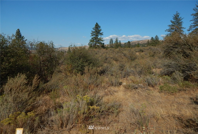 0 xxx Gunsight Bluff, Seven Bays, Washington 99122, ,Land,For Sale,Gunsight Bluff,NWM1876264