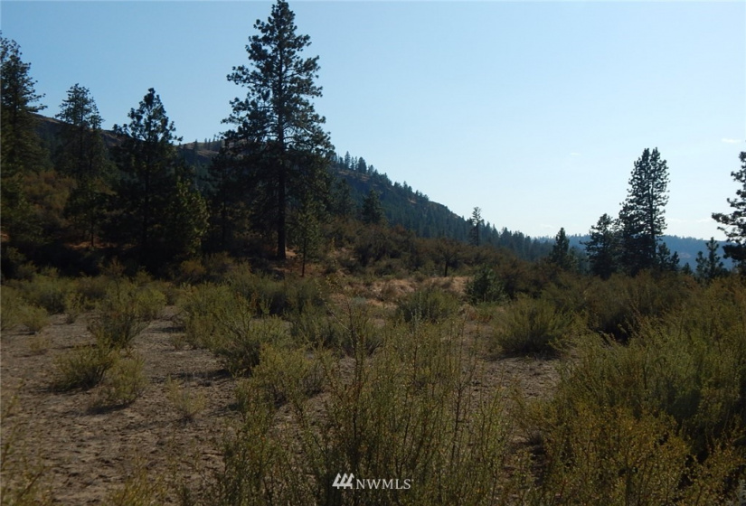0 xxx Gunsight Bluff, Seven Bays, Washington 99122, ,Land,For Sale,Gunsight Bluff,NWM1876264