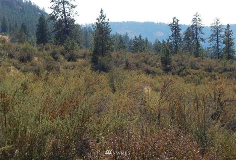 0 xxx Gunsight Bluff, Seven Bays, Washington 99122, ,Land,For Sale,Gunsight Bluff,NWM1876264