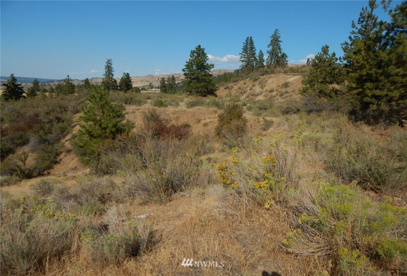 0 xxx Gunsight Bluff, Seven Bays, Washington 99122, ,Land,For Sale,Gunsight Bluff,NWM1876264