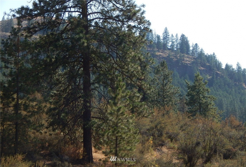 0 xxx Gunsight Bluff, Seven Bays, Washington 99122, ,Land,For Sale,Gunsight Bluff,NWM1876264