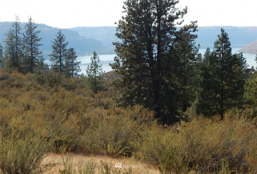 0 xxx Gunsight Bluff, Seven Bays, Washington 99122, ,Land,For Sale,Gunsight Bluff,NWM1876264