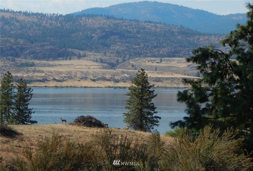 0 xxx Gunsight Bluff, Seven Bays, Washington 99122, ,Land,For Sale,Gunsight Bluff,NWM1876264