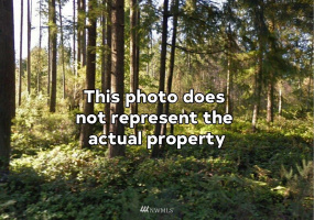 17741 Clear Lake, Yelm, Washington 98597, ,Land,For Sale,Clearwood Div 3,Clear Lake,NWM1871682