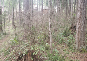 17339 East View, Yelm, Washington 98597, ,Land,For Sale,Clearwood,East View,NWM1871689